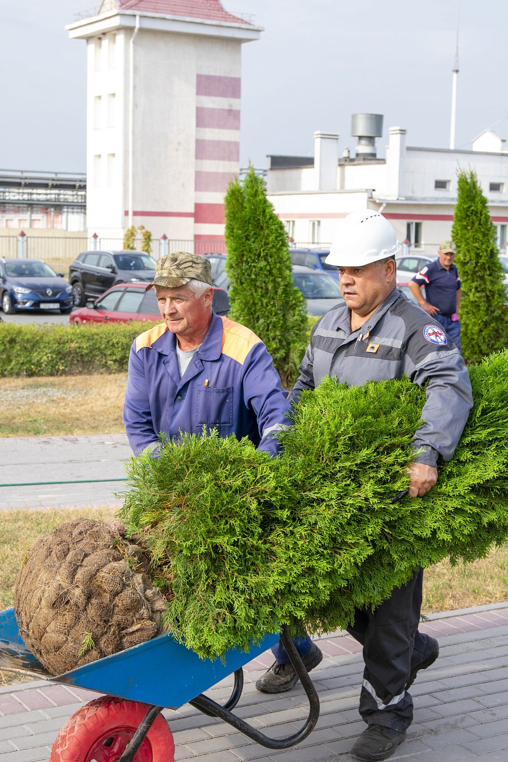 В ЕДИНСТВЕ - СИЛА!