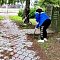 Год Благоустройства: молодежь в деле!